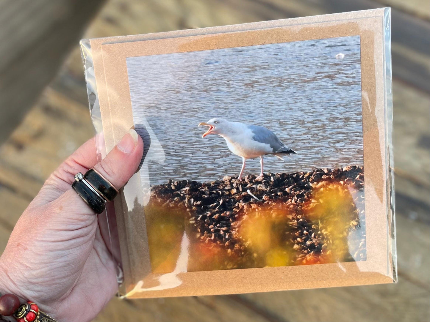 Seagull card, recycled card, handmade card, English wildlife photo card, nature card, blank card, gift for her, gift for him, homemade card