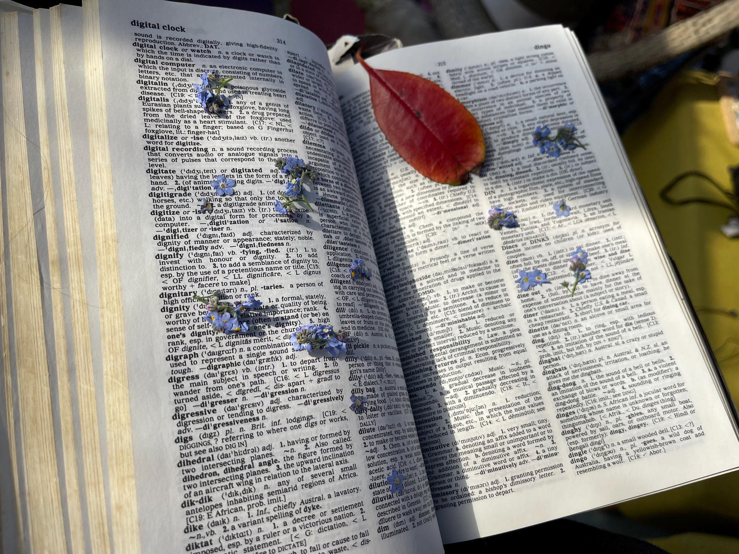 Forget-me-not bracelet or choker necklace. Boho gift for her, flower bracelet, remembrance bracelet, gardeners gift, Forget me not jewellery