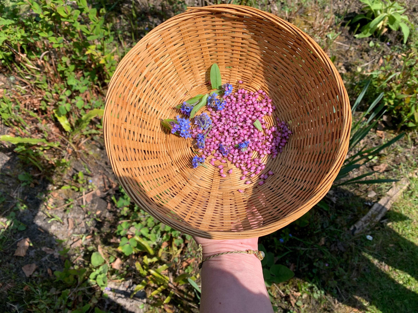 Forget-me-not bracelet or choker necklace. Boho gift for her, flower bracelet, remembrance bracelet, gardeners gift, Forget me not jewellery