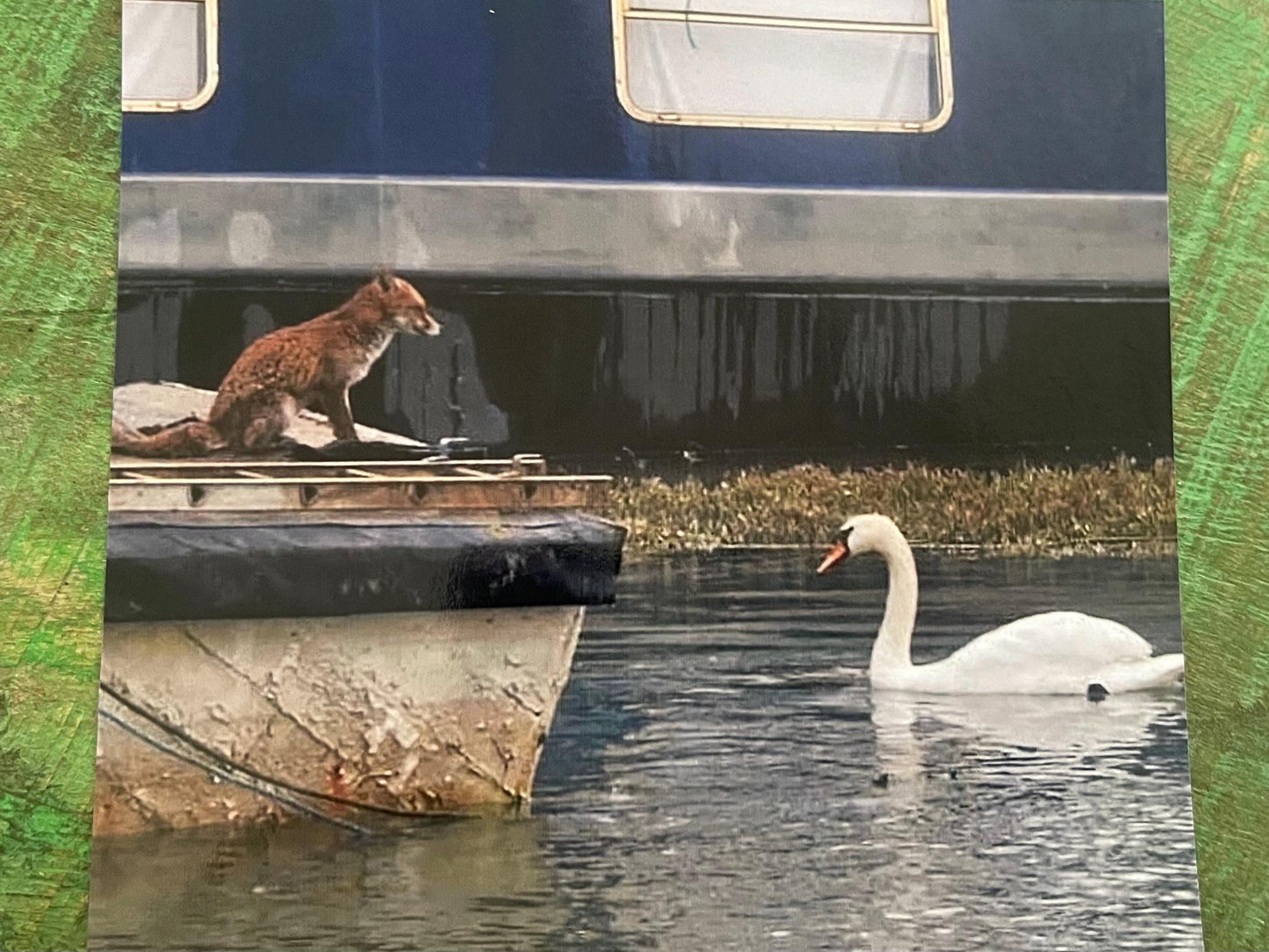 Fox & swan card, recycled card, nature card, birthday card, recycled card. Eco friendly gift card. Handmade card. Blank message card.