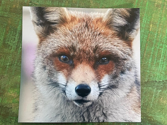 Fox card, recycled card, nature card, birthday card. Eco friendly gift card. Handmade card, gift for fox lower, homemade English animal card