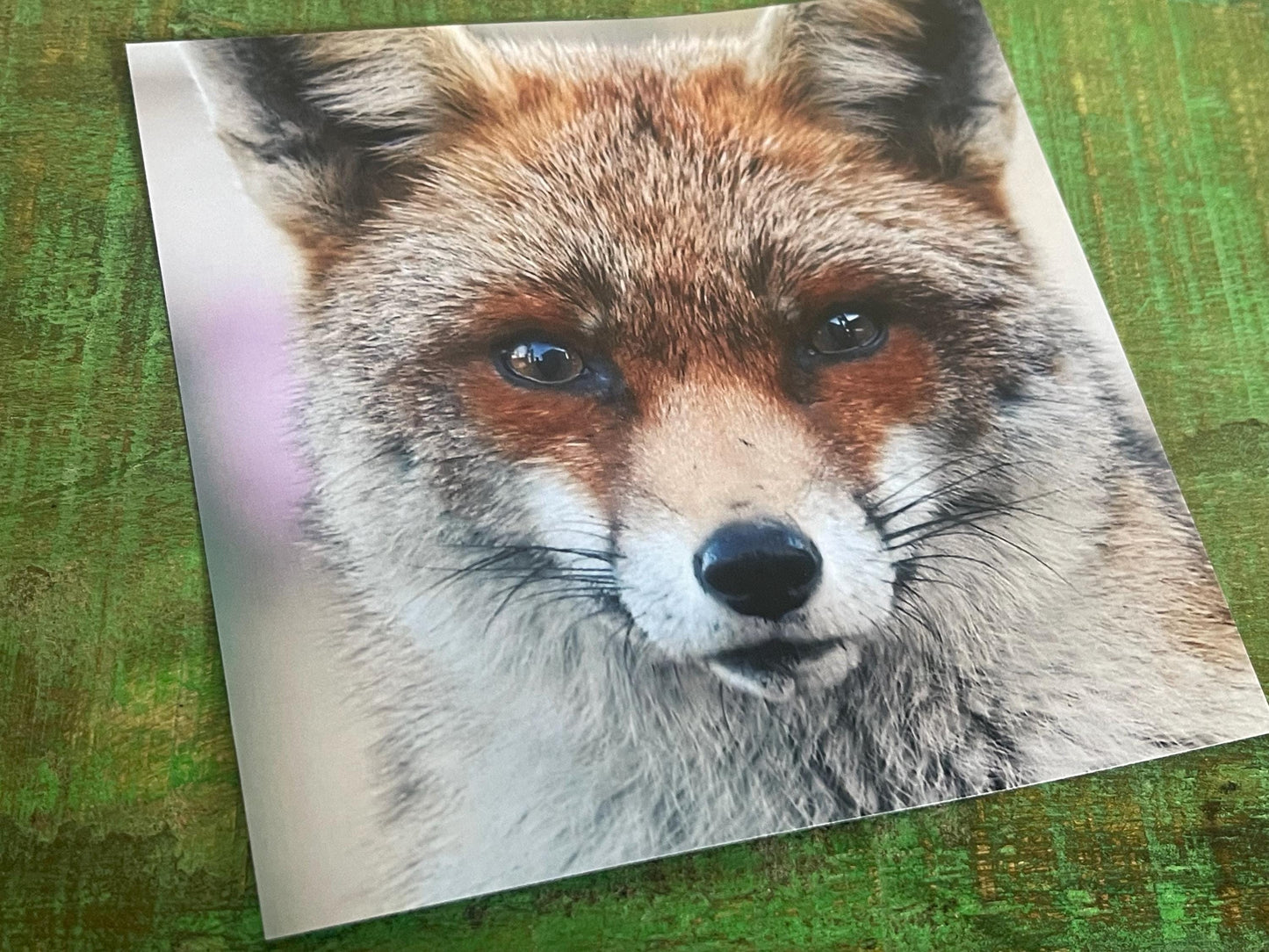 Fox card, recycled card, nature card, birthday card. Eco friendly gift card. Handmade card, gift for fox lower, homemade English animal card