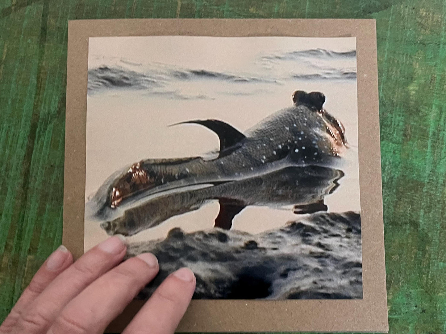 Mudskipper Card for fisherman, Handmade card, recycled card, seaside card, sunset card, fishermans card, eco friendly cards, recycled cards