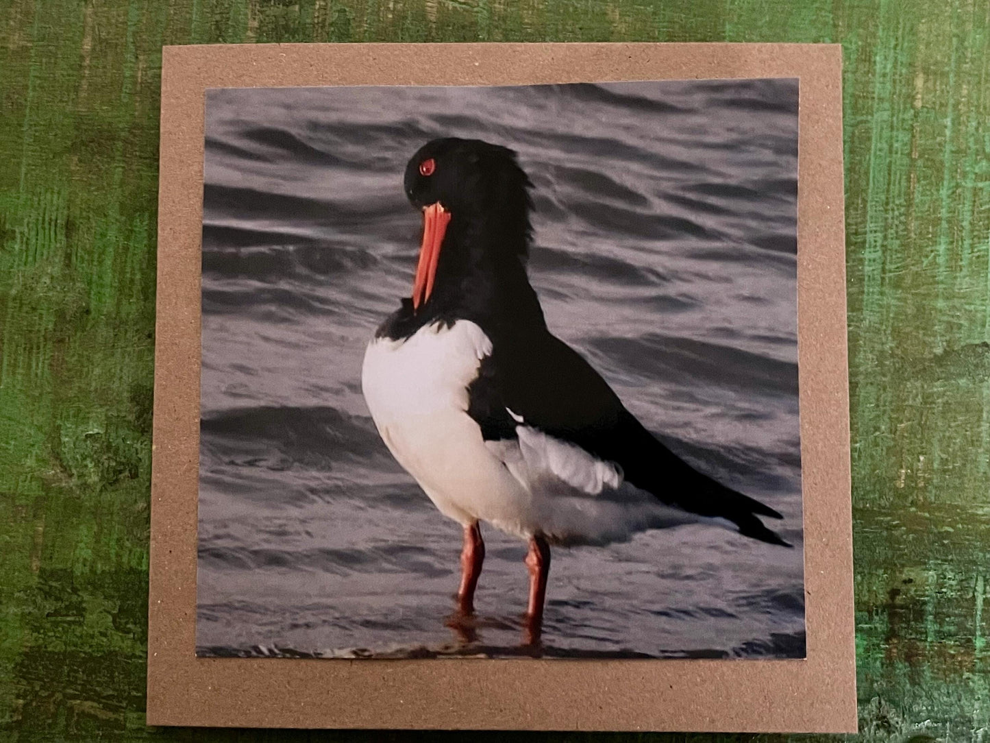 Oystercatcher card, recycled card, birthday card, English bird card. Eco friendly card. Handmade card. Unusual Thank you card, blank card