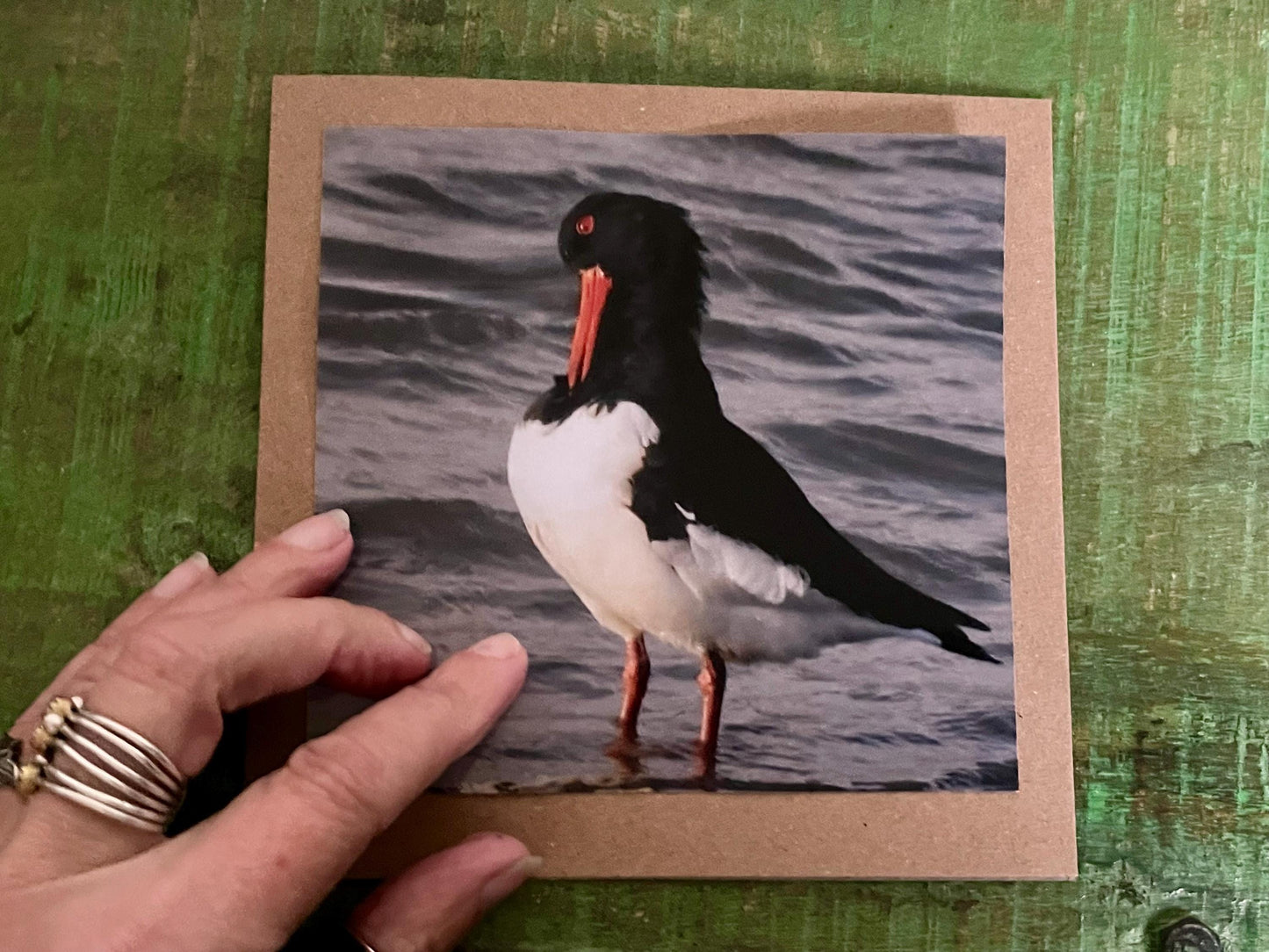 Oystercatcher card, recycled card, birthday card, English bird card. Eco friendly card. Handmade card. Unusual Thank you card, blank card