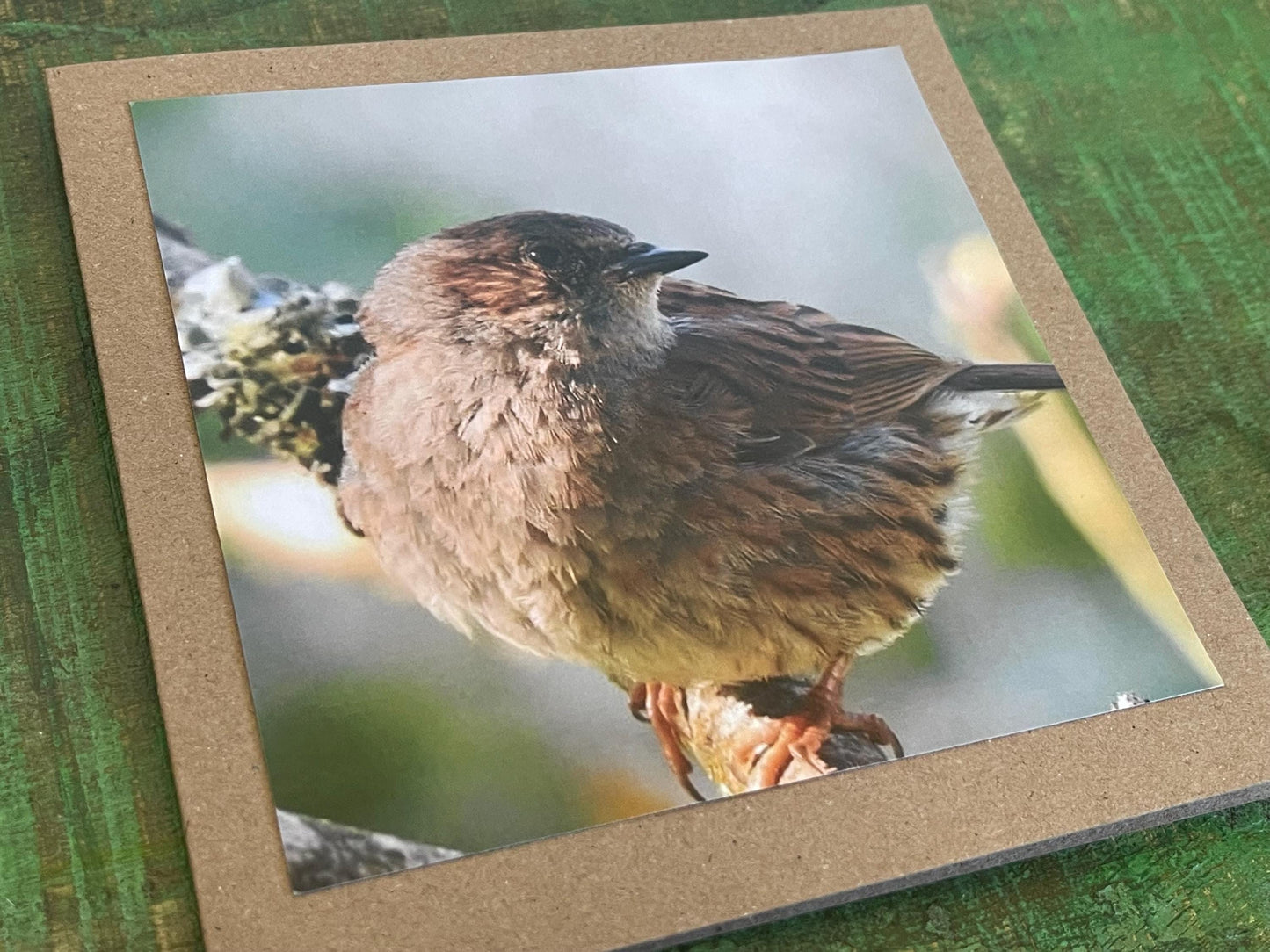Dunnock card, recycled card, birthday card, English bird card. Eco friendly card. Handmade card. Unusual Thank you card, blank sparrow card