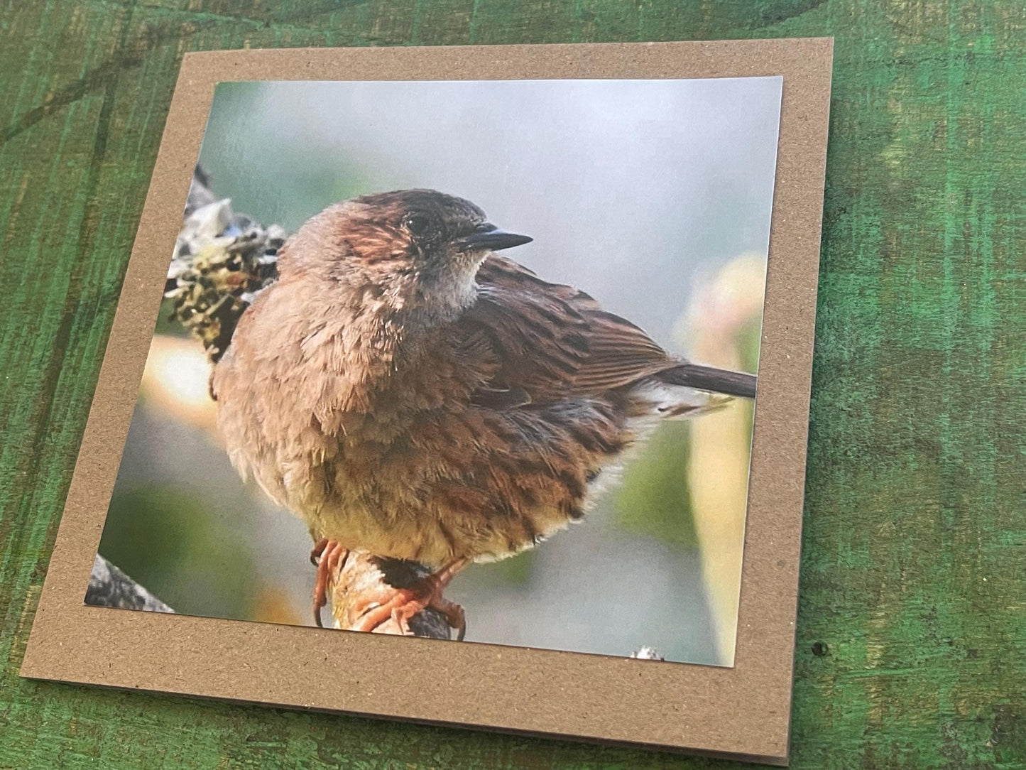 Dunnock card, recycled card, birthday card, English bird card. Eco friendly card. Handmade card. Unusual Thank you card, blank sparrow card