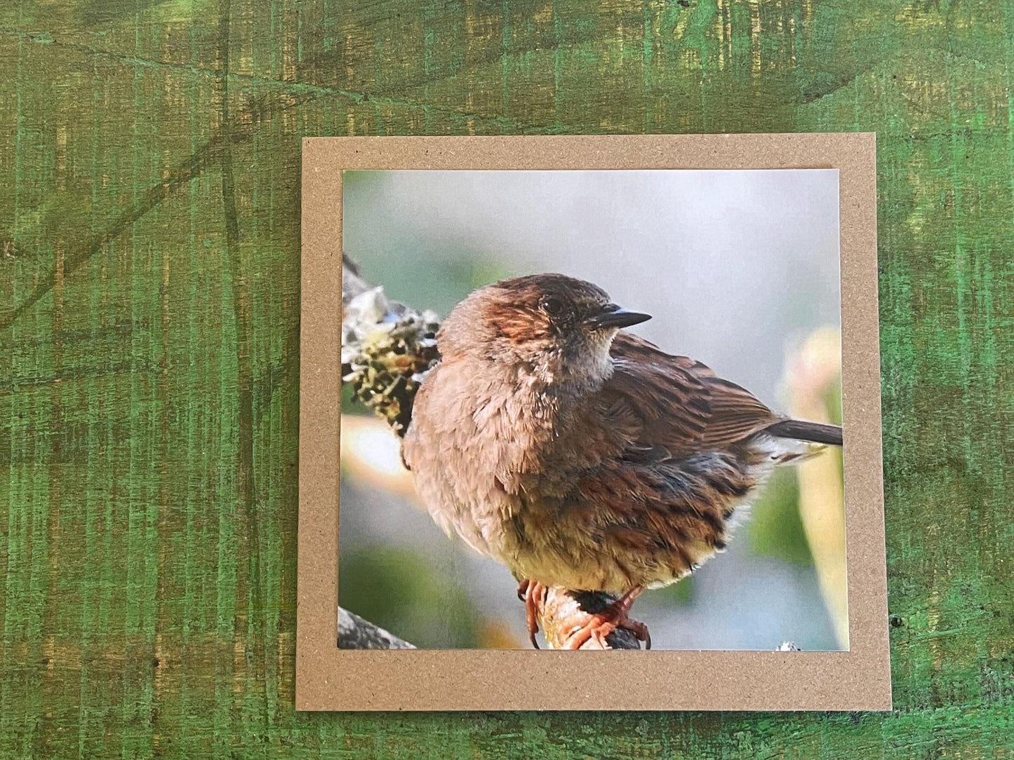 Dunnock card, recycled card, birthday card, English bird card. Eco friendly card. Handmade card. Unusual Thank you card, blank sparrow card