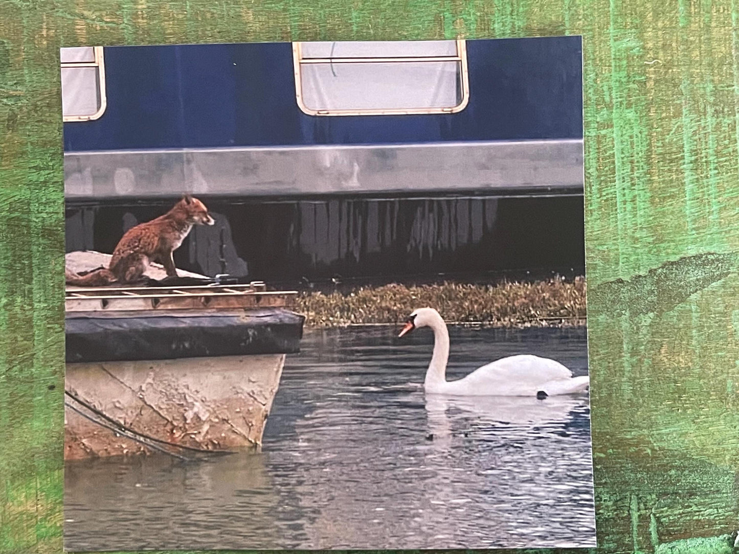 Fox & swan card, recycled card, nature card, birthday card, recycled card. Eco friendly gift card. Handmade card. Blank message card.