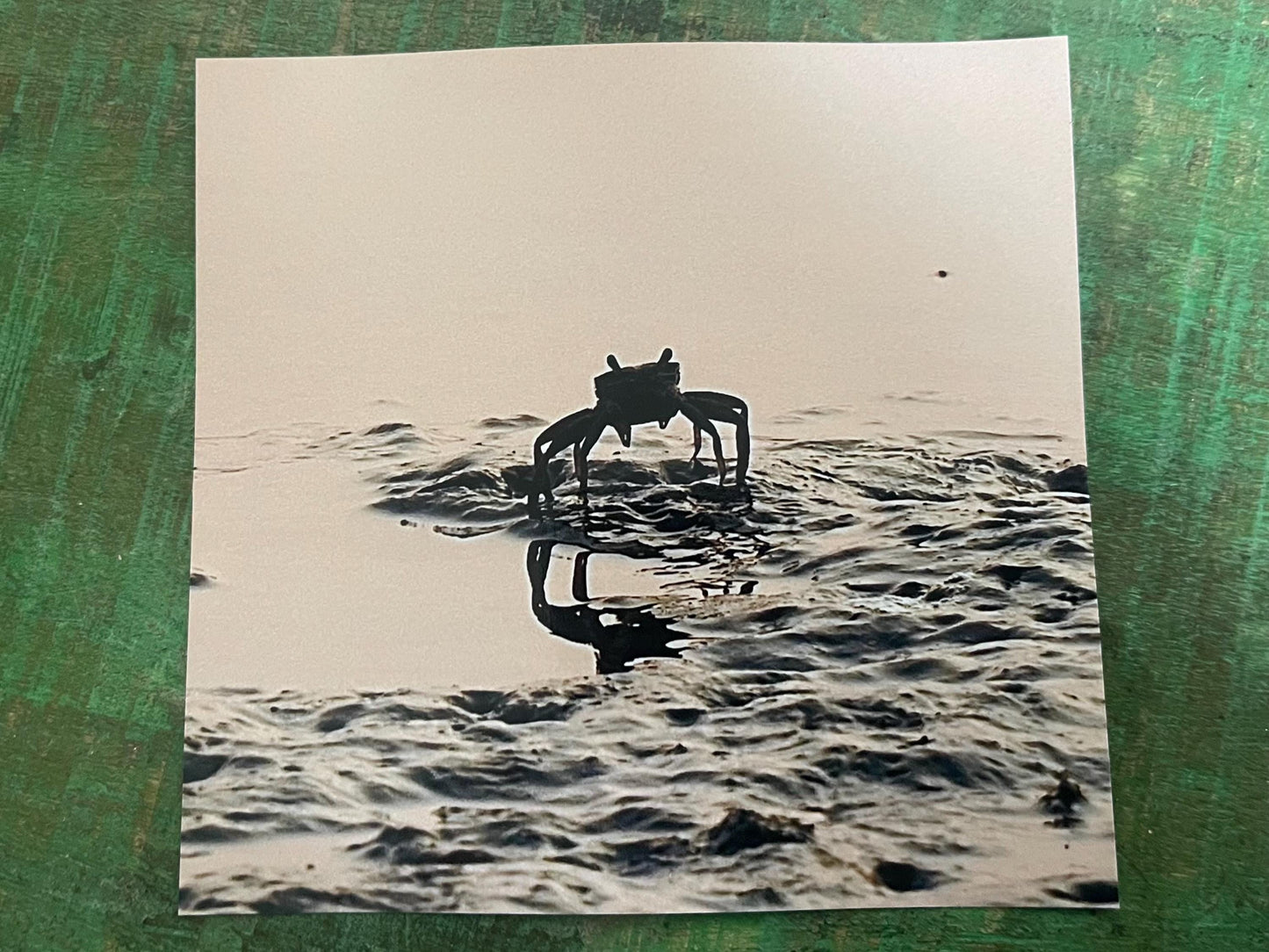Crab in Sunset photo card. Handmade card, recycled card, beach card, birthday card, eco friendly cards, eco card, recycled card. Crabs