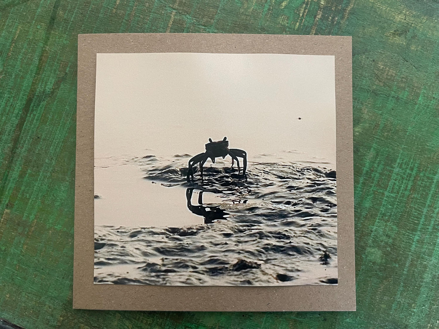 Crab in Sunset photo card. Handmade card, recycled card, beach card, birthday card, eco friendly cards, eco card, recycled card. Crabs