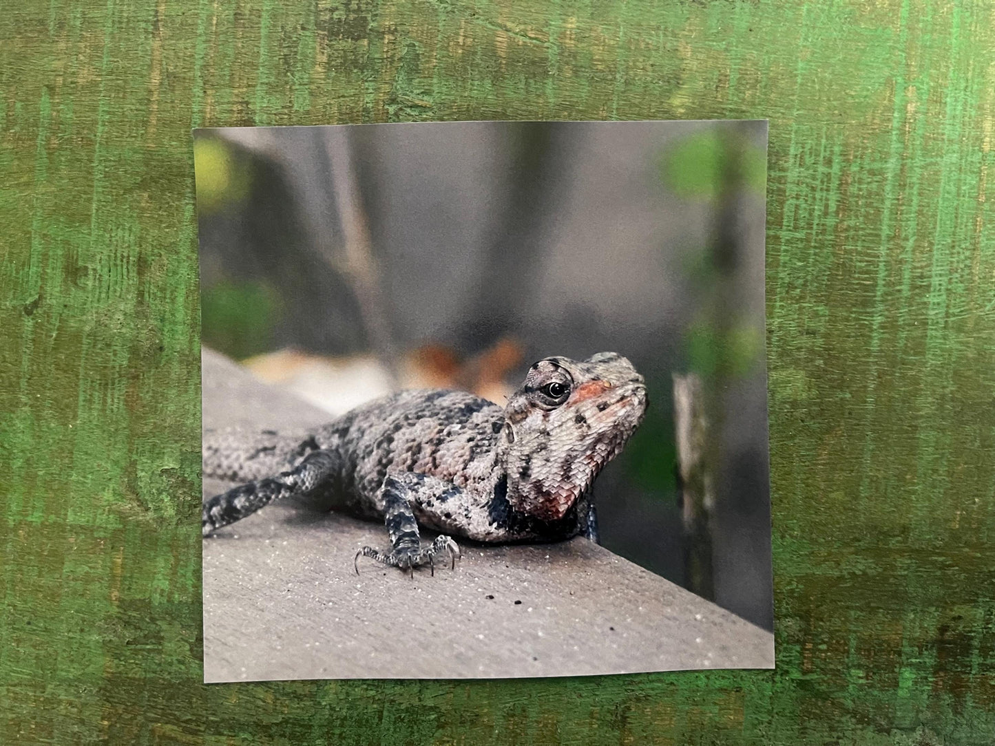 Ghecko card, recycled card, birthday card, lizard card. Eco friendly card. Handmade card. Unusual Thank you card, blank card. Wildlife cards