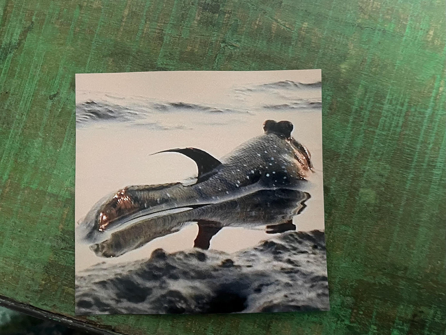 Mudskipper Card for fisherman, Handmade card, recycled card, seaside card, sunset card, fishermans card, eco friendly cards, recycled cards