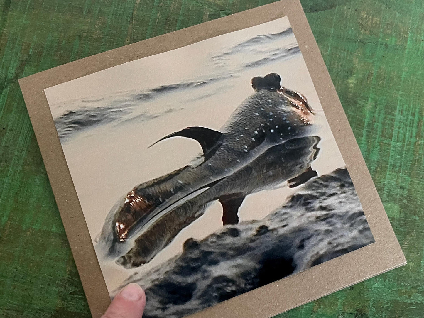 Mudskipper Card for fisherman, Handmade card, recycled card, seaside card, sunset card, fishermans card, eco friendly cards, recycled cards