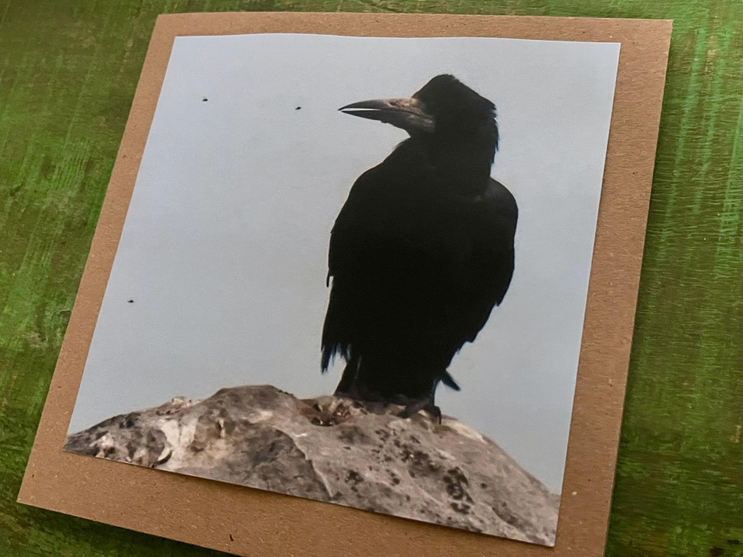 Watching flies - meditation card :) Crow card, recycled card, birthday card, Eco friendly card. Handmade card. Unusual card, blank gift card
