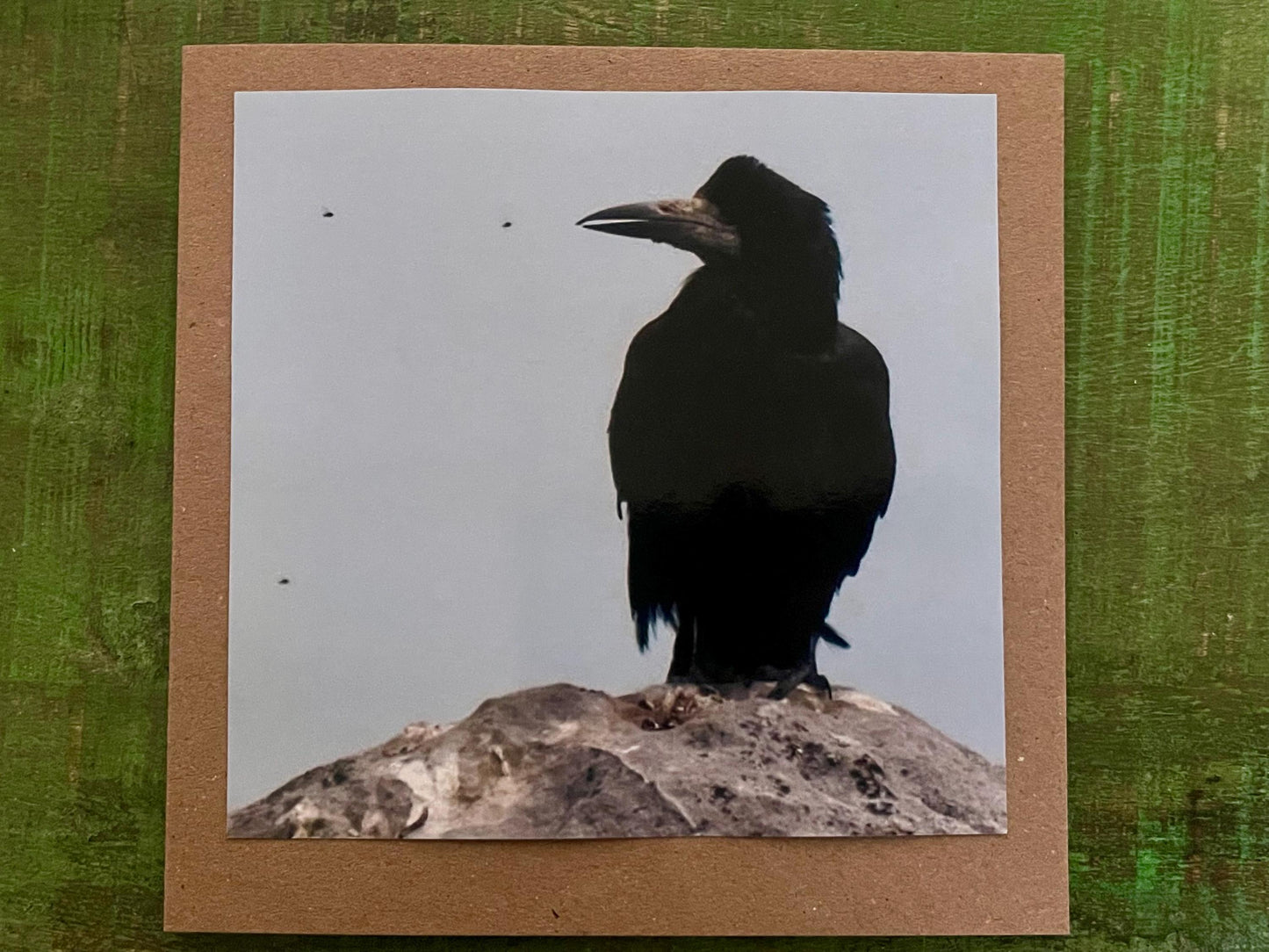 Watching flies - meditation card :) Crow card, recycled card, birthday card, Eco friendly card. Handmade card. Unusual card, blank gift card