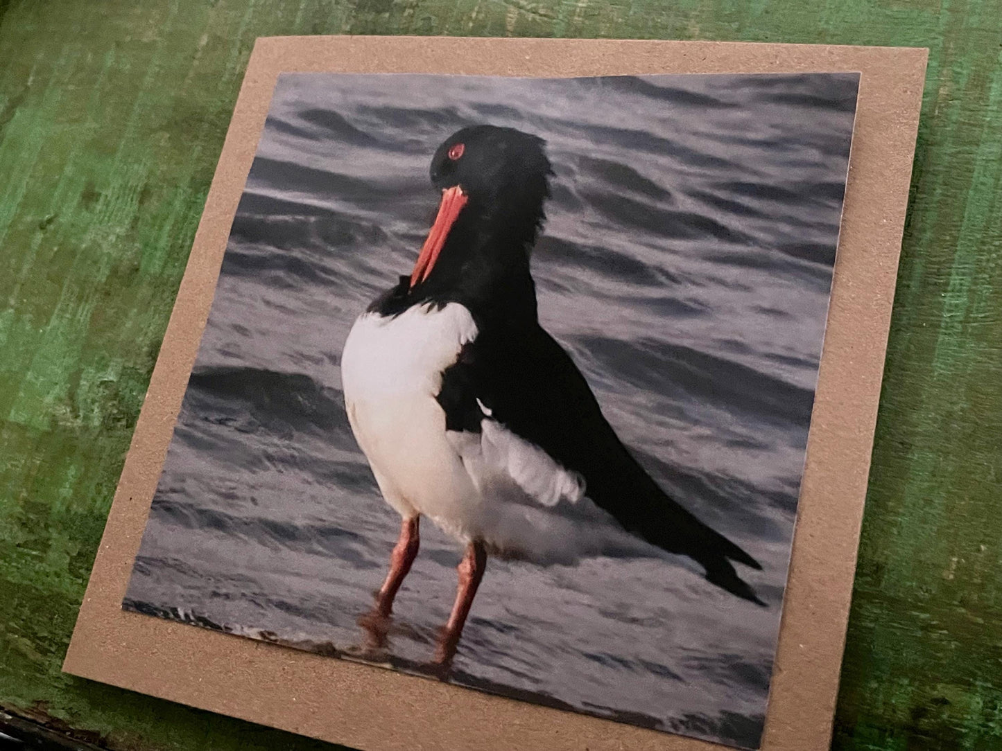 Oystercatcher card, recycled card, birthday card, English bird card. Eco friendly card. Handmade card. Unusual Thank you card, blank card