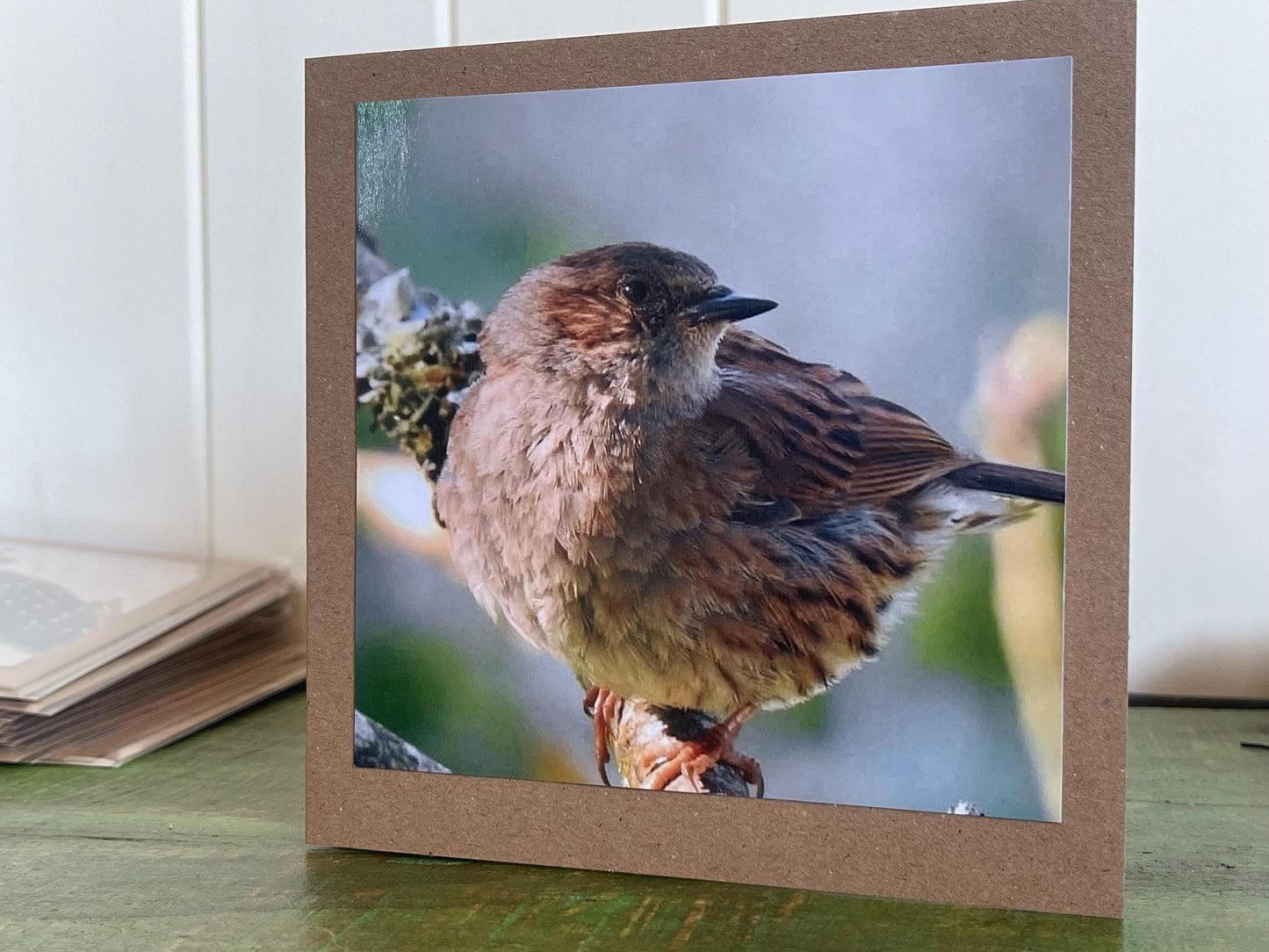 Dunnock card, recycled card, birthday card, English bird card. Eco friendly card. Handmade card. Unusual Thank you card, blank sparrow card