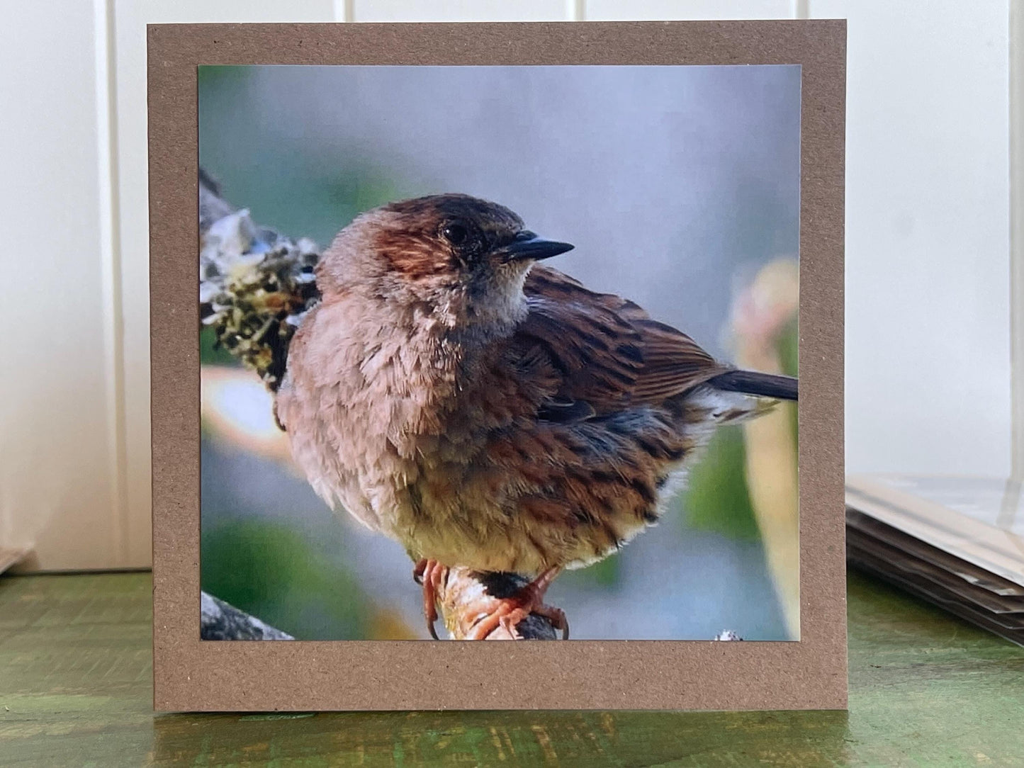 Dunnock card, recycled card, birthday card, English bird card. Eco friendly card. Handmade card. Unusual Thank you card, blank sparrow card