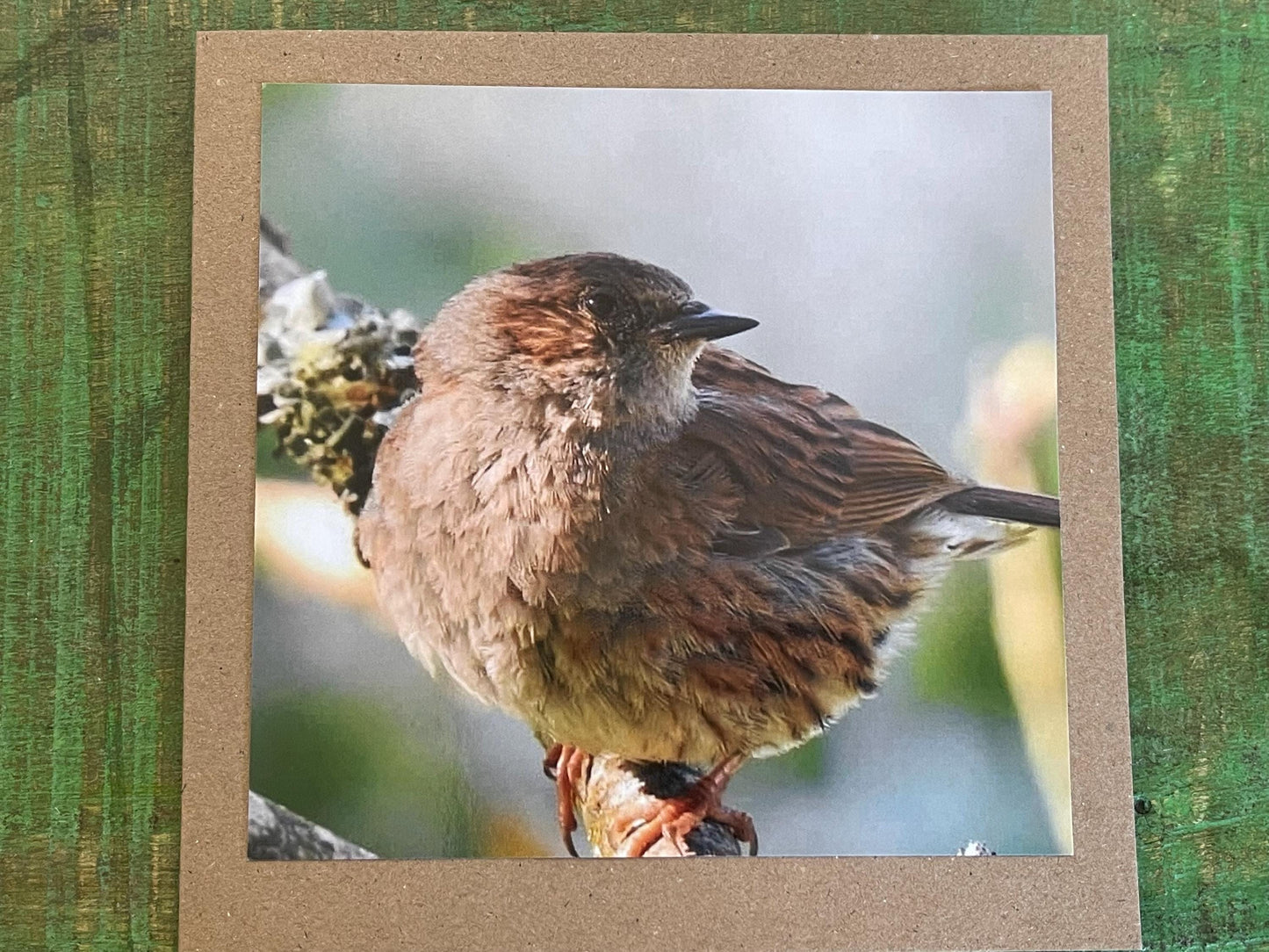 Dunnock card, recycled card, birthday card, English bird card. Eco friendly card. Handmade card. Unusual Thank you card, blank sparrow card