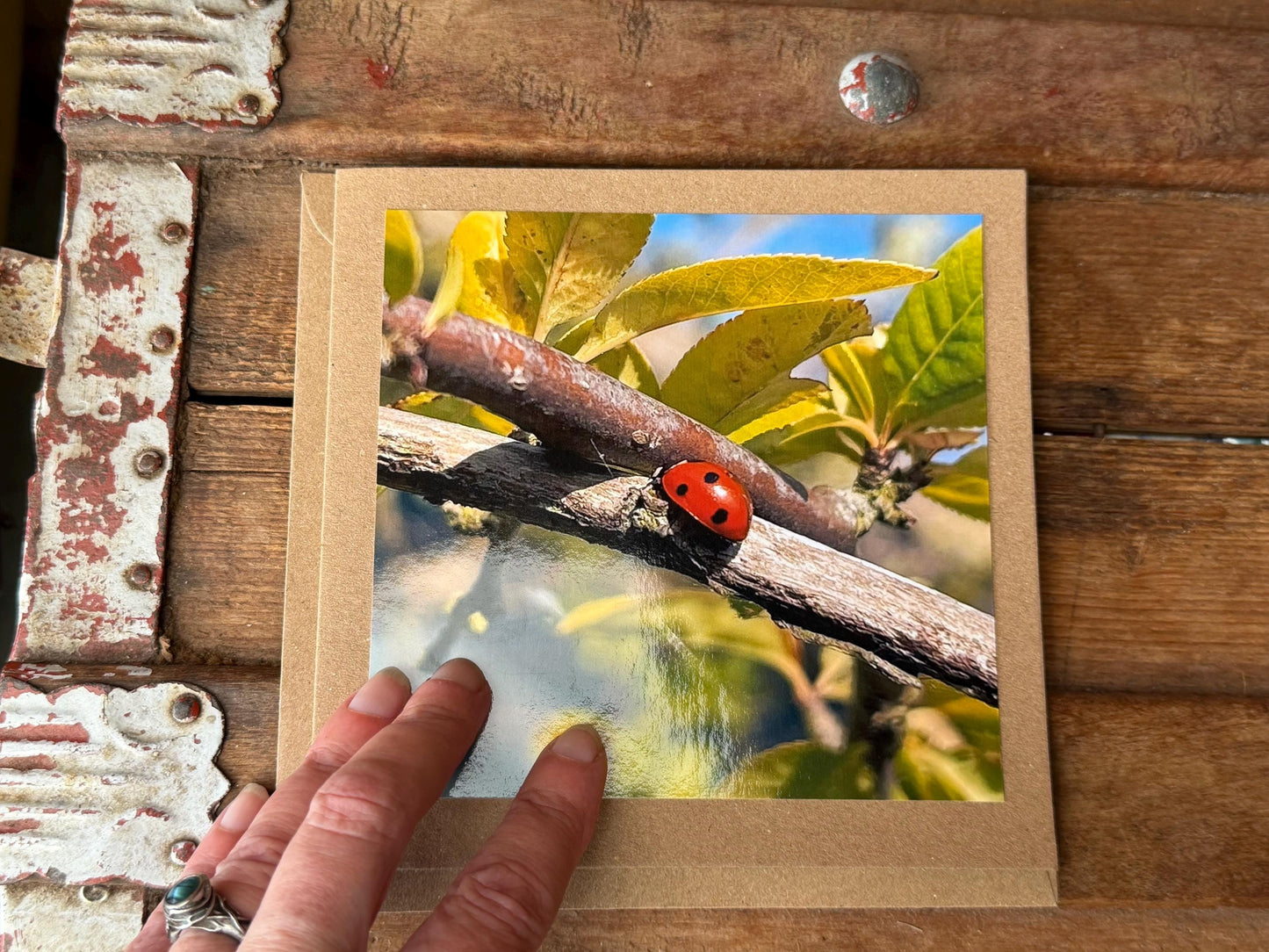 Ladybird card, recycled card, birthday card. Eco friendly card. Handmade card. Thank you card, blank card, English nature card, gift for her