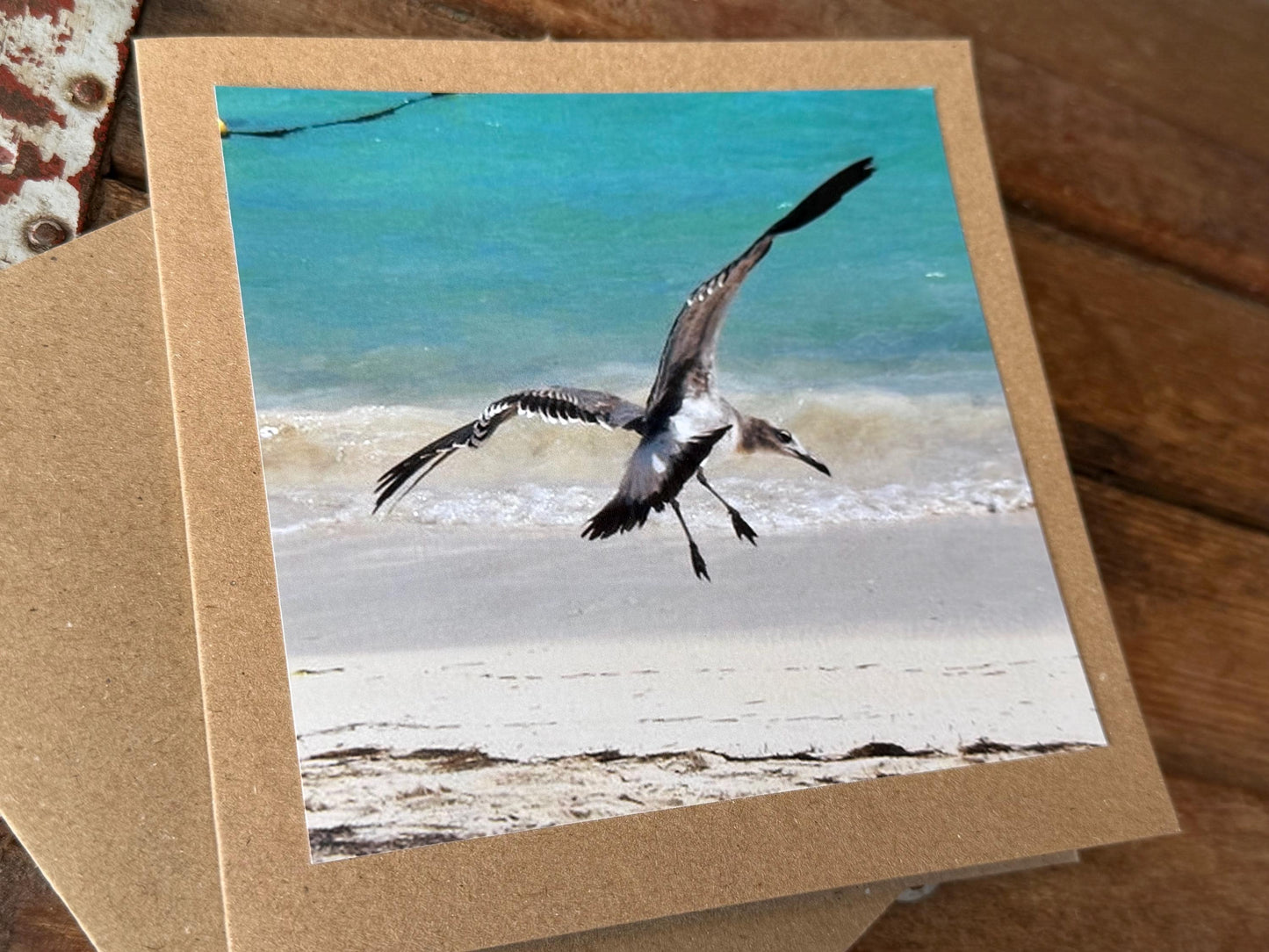 Seagull card, recycled card, handmade card, English wildlife photo card, nature card, blank card, gift for her, gift for him, homemade card
