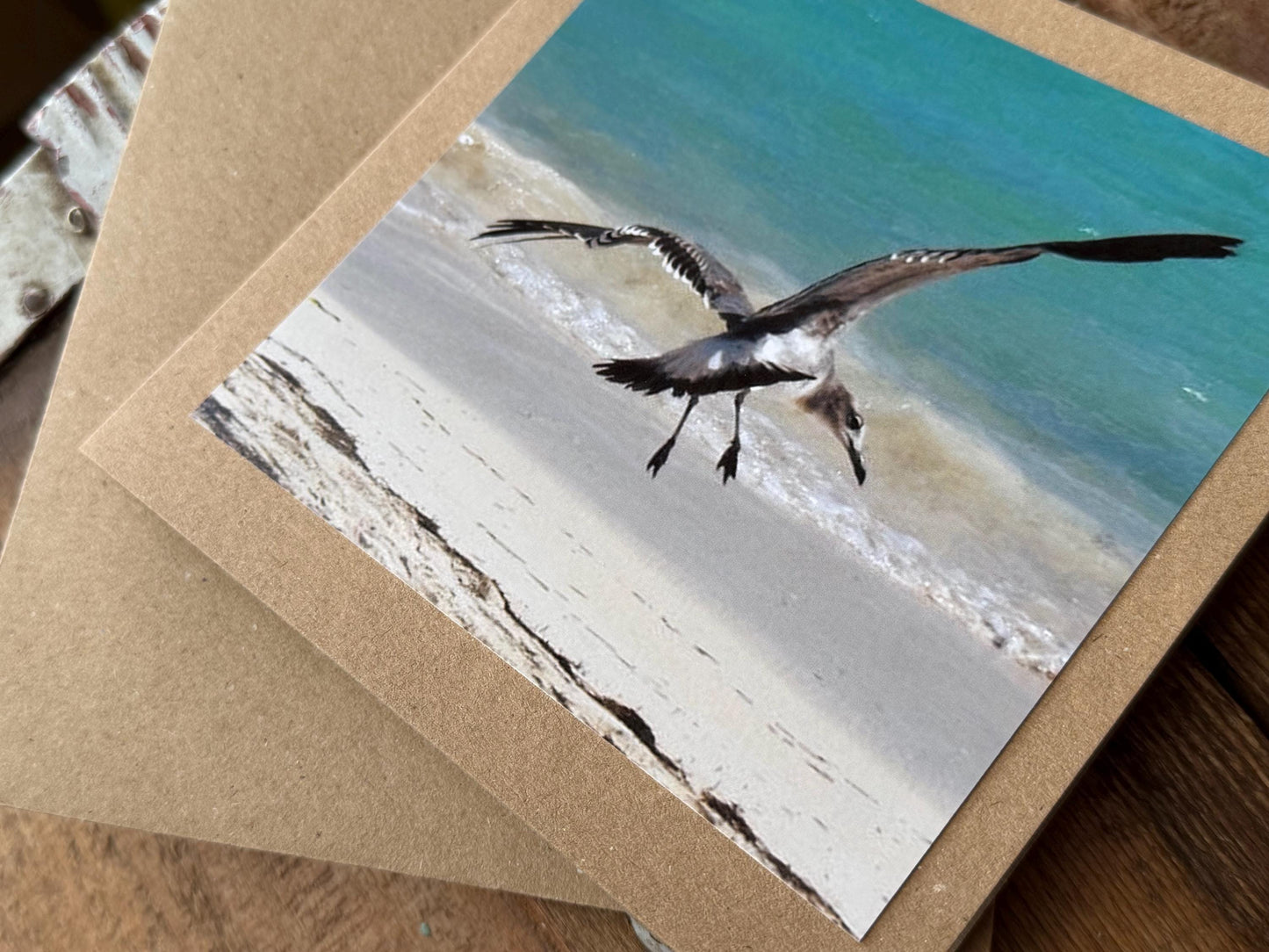 Seagull card, recycled card, handmade card, English wildlife photo card, nature card, blank card, gift for her, gift for him, homemade card