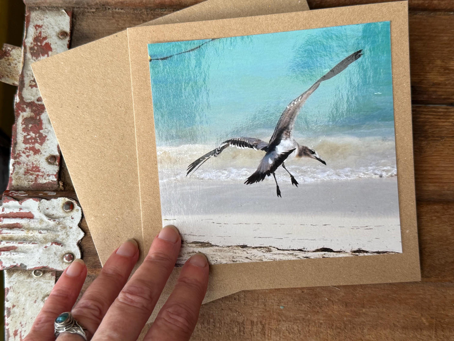 Seagull card, recycled card, handmade card, English wildlife photo card, nature card, blank card, gift for her, gift for him, homemade card