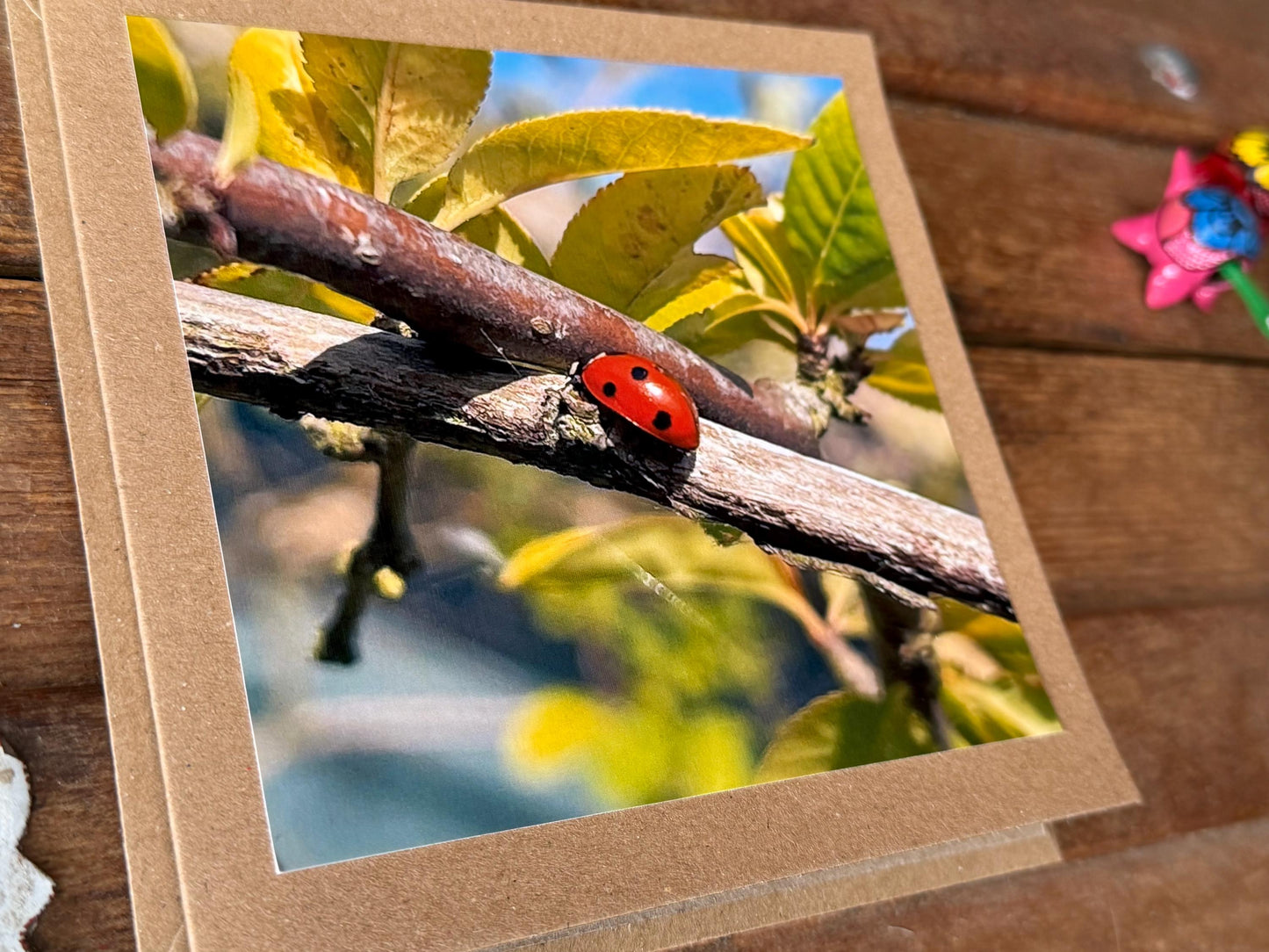 Ladybird card, recycled card, birthday card. Eco friendly card. Handmade card. Thank you card, blank card, English nature card, gift for her