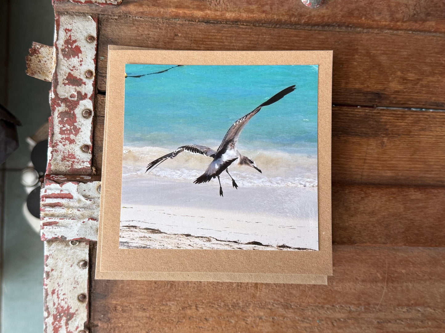 Seagull card, recycled card, handmade card, English wildlife photo card, nature card, blank card, gift for her, gift for him, homemade card