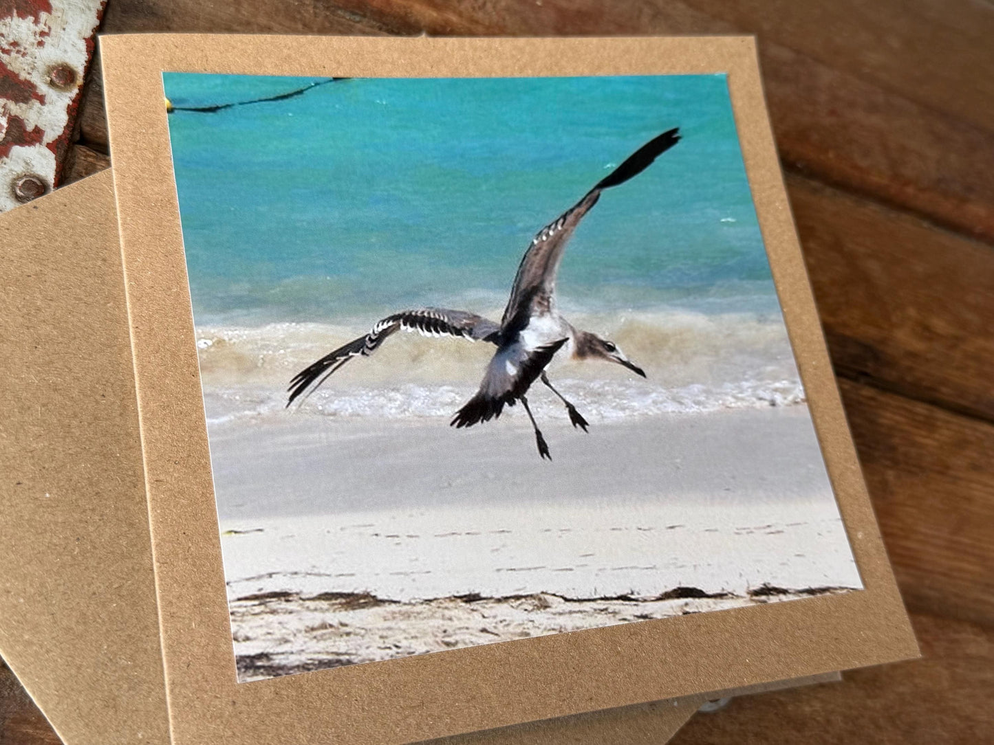 Seagull card, recycled card, handmade card, English wildlife photo card, nature card, blank card, gift for her, gift for him, homemade card