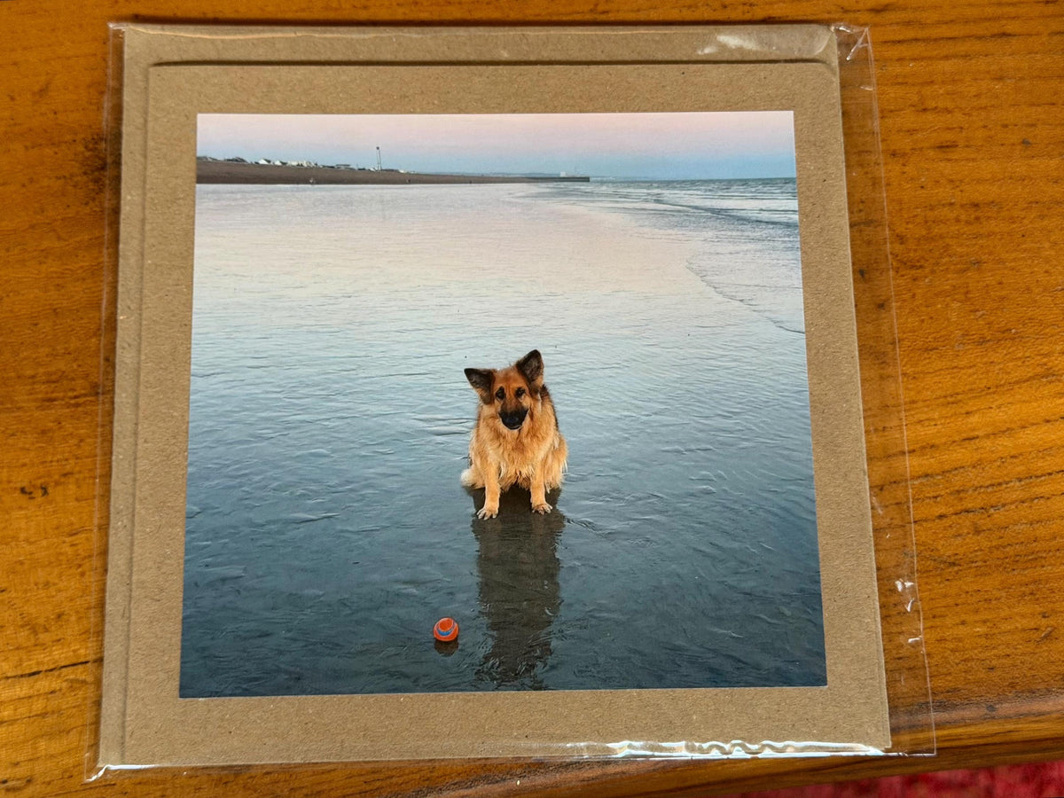 Dog card, card for dog lovers. Handmade card, recycled birthday card, gift for dog lover, recycled cards, eco friendly cards, recycled card