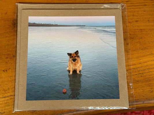Dog card, card for dog lovers. Handmade card, recycled birthday card, gift for dog lover, recycled cards, eco friendly cards, recycled card