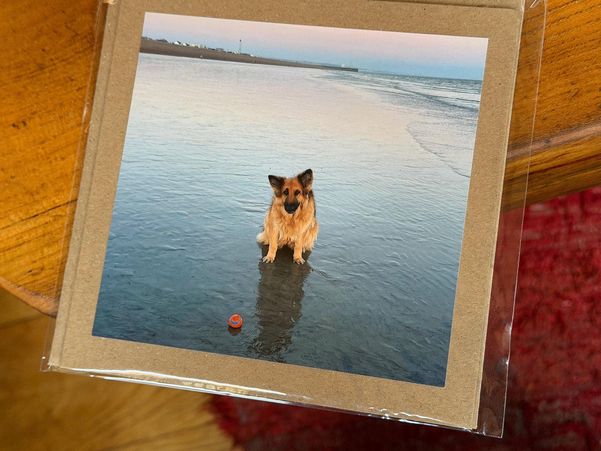 Dog card, card for dog lovers. Handmade card, recycled birthday card, gift for dog lover, recycled cards, eco friendly cards, recycled card