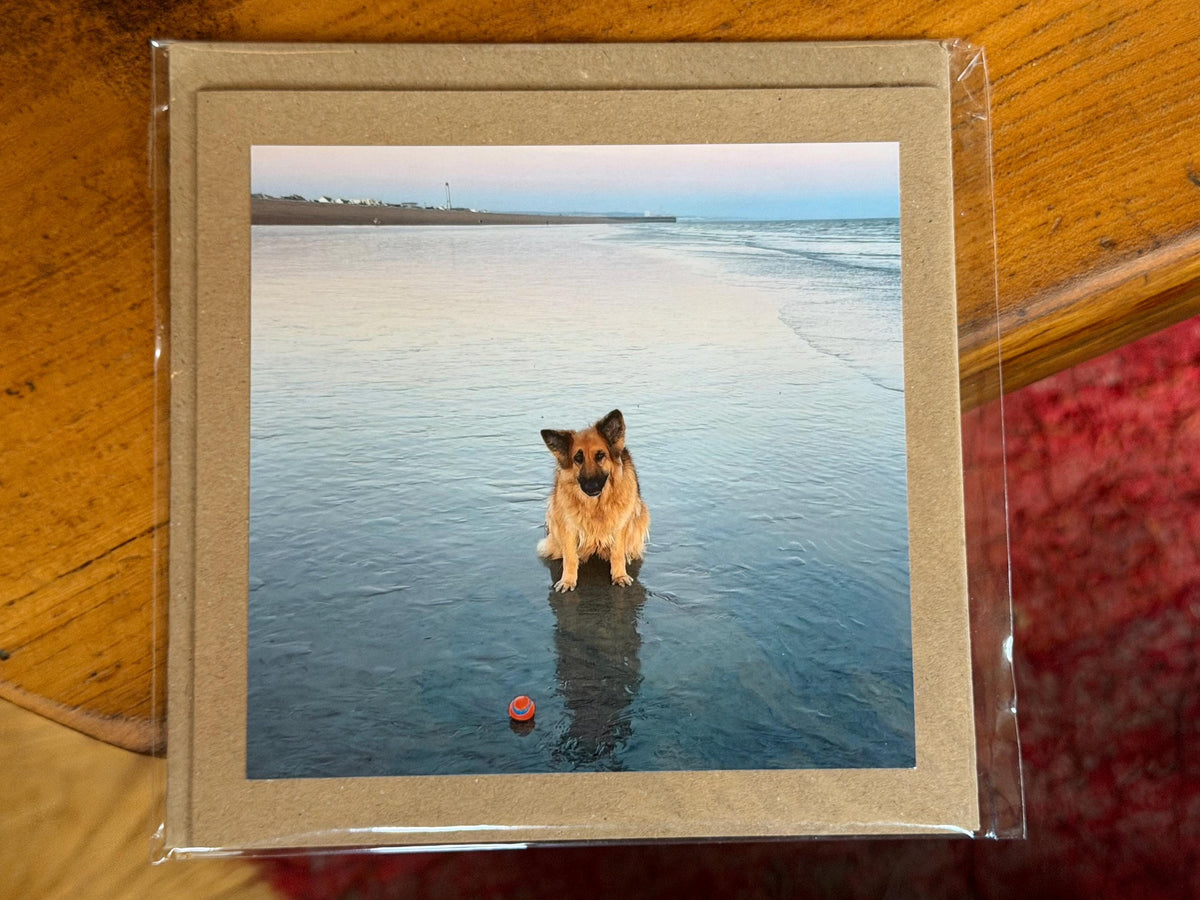 Dog card, card for dog lovers. Handmade card, recycled birthday card, gift for dog lover, recycled cards, eco friendly cards, recycled card