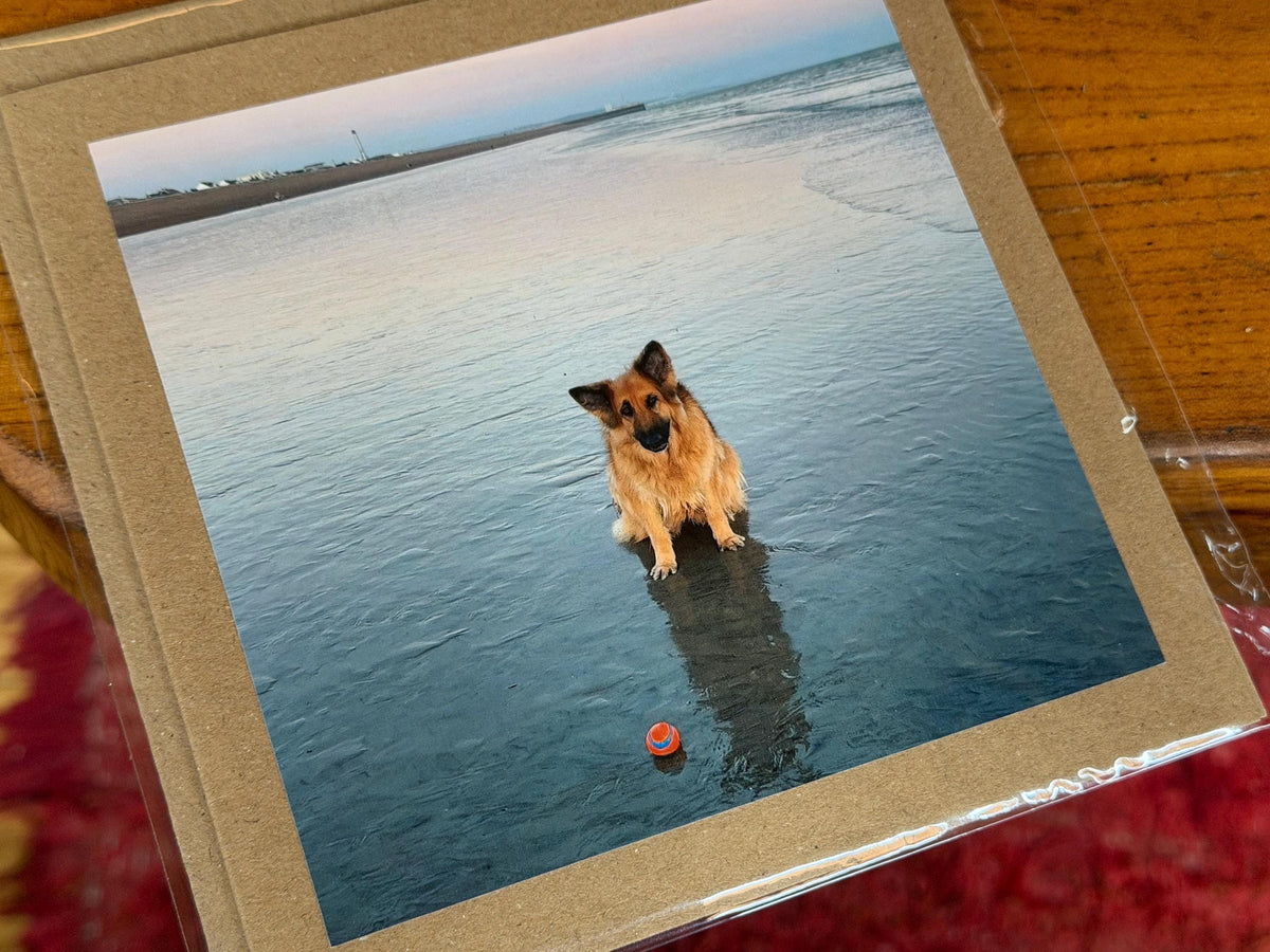 Dog card, card for dog lovers. Handmade card, recycled birthday card, gift for dog lover, recycled cards, eco friendly cards, recycled card